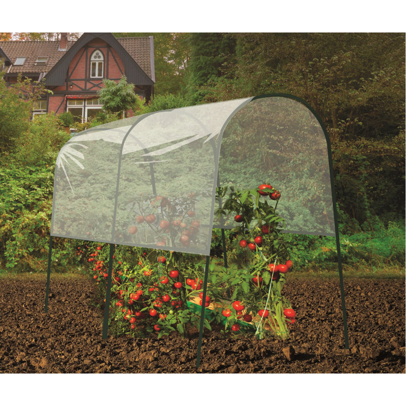Gardman Tomato 4 Ft. W x 6.5 Ft. D Mini Greenhouse & Reviews Wayfair